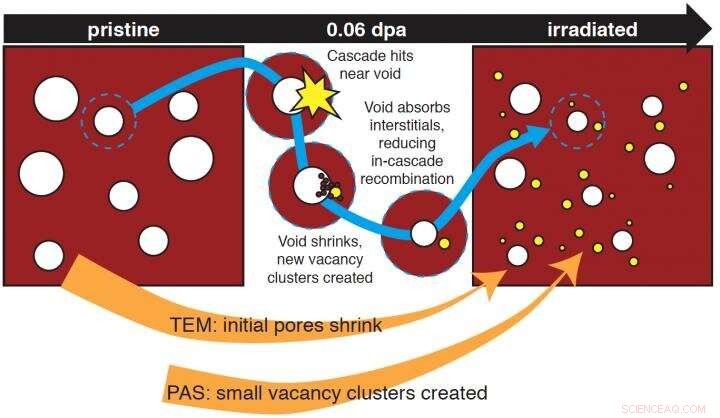 Nondestructive Positron Beam Analysis Uncovers Radiation Damage Mechanisms, Enhancing Safety in High-Exposure Environments