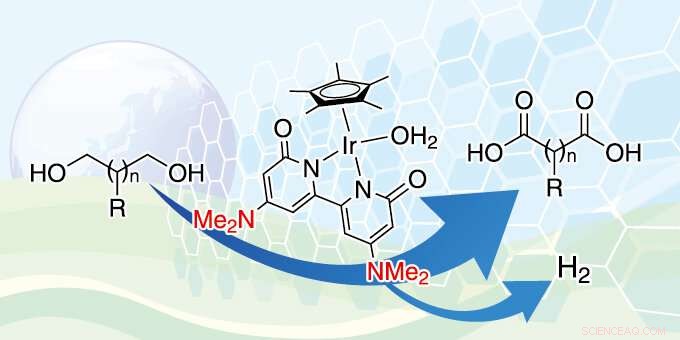 Researchers Achieve Dual Production of Dicarboxylic Acids and Hydrogen from Diols Using Iridium Catalyst