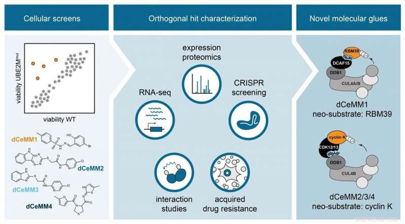 Revolutionizing Drug Discovery: A Rational Strategy to Identify Molecular Glue Degraders