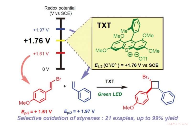 Cutting-Edge Organophotoredox Catalysis Enables Precise Styrene Oxidation for Efficient [2+2] Cycloaddition