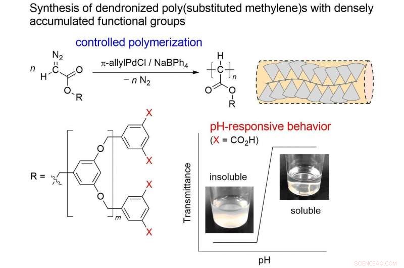Innovative pH-Responsive Dendronized Polymethylene: Advancing Smart Soft Material Synthesis