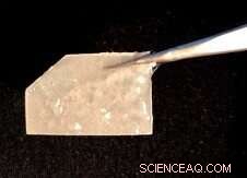 Revolutionary Hydrogel Technology Set to Transform Biomedical Applications