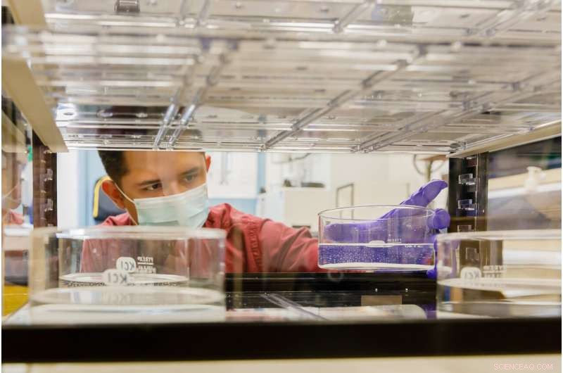 Researchers Collaborate with New Mexico Small Businesses to Test Innovative Respirator Materials