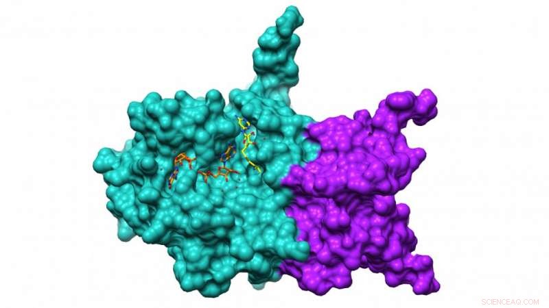 Theta Accelerates Real-Time COVID-19 Protein Analysis by Researchers