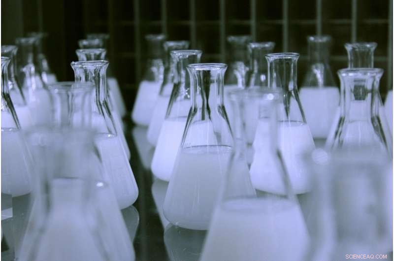 Harnessing Quantum Chemistry for Sustainable Catalysis