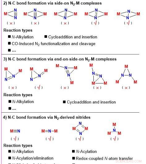 Direct Synthesis of N–C Bonds from Dinitrogen: A Comprehensive Review and Future Outlook