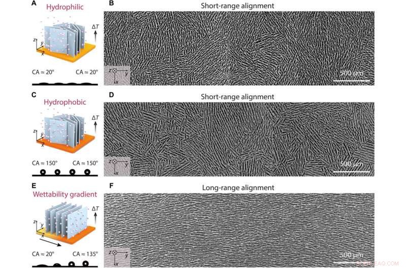 Mastering Ice Formation on Gradient Wettability Surfaces for Advanced Bioinspired Materials
