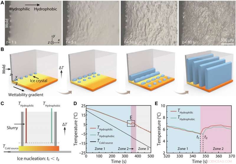 Mastering Ice Formation on Gradient Wettability Surfaces for Advanced Bioinspired Materials