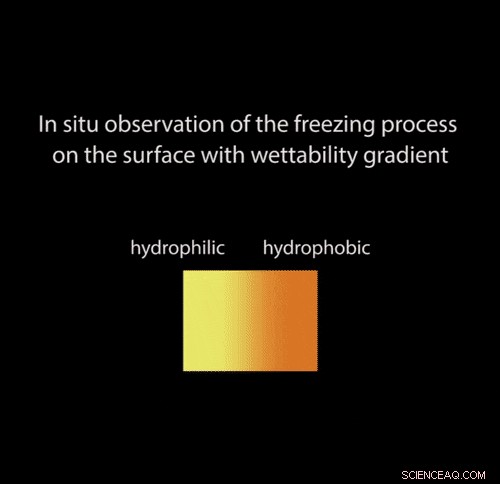 Mastering Ice Formation on Gradient Wettability Surfaces for Advanced Bioinspired Materials
