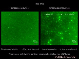 Mastering Ice Formation on Gradient Wettability Surfaces for Advanced Bioinspired Materials