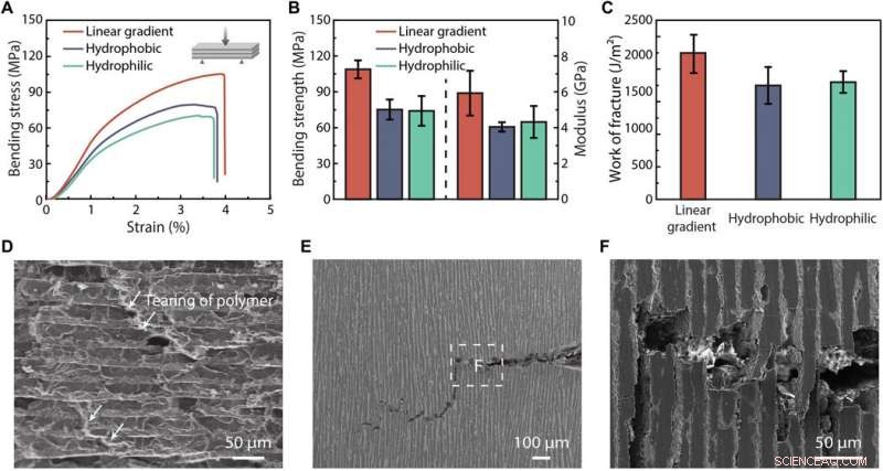 Mastering Ice Formation on Gradient Wettability Surfaces for Advanced Bioinspired Materials