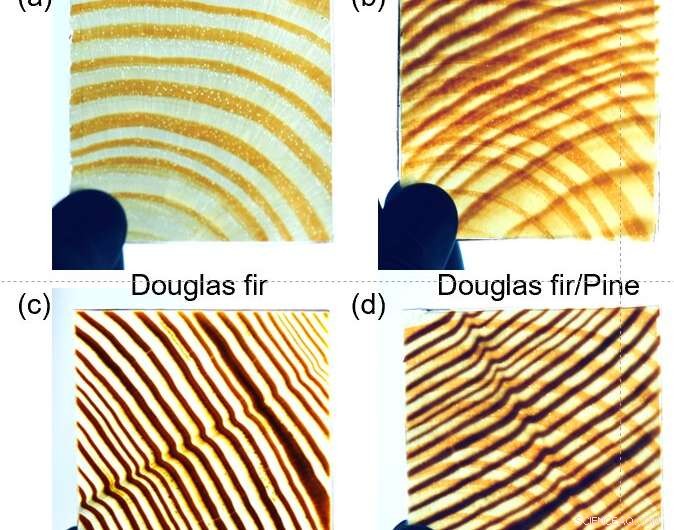 Transparent Wood: Durable, UV‑Blocking, Heat‑Insulating Material with Visible Grain