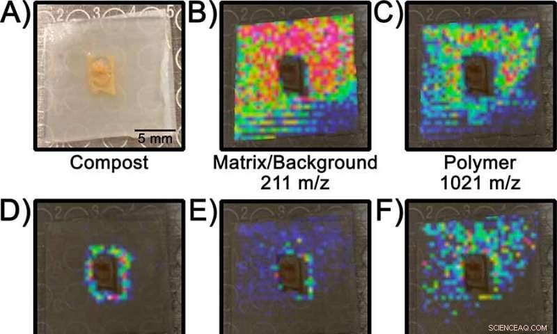 Revolutionary Biodegradable Algae Flip‑Flops: Cutting‑Edge Science Reduces Plastic Waste