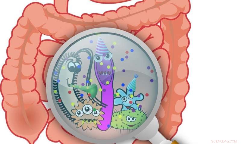 New Gut Enzyme Discovery Could Revolutionize Disease Biomarker Detection
