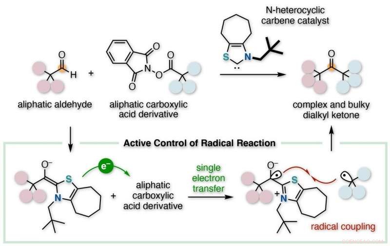 Organocatalyst that Controls Radical Reactions for Synthesizing Complex, Bulky Compounds