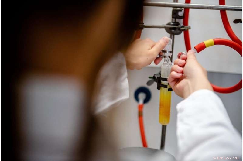 New Catalyst Enables Selective Conversion of Reactive Lithium Compounds – A Breakthrough for Industrial Applications