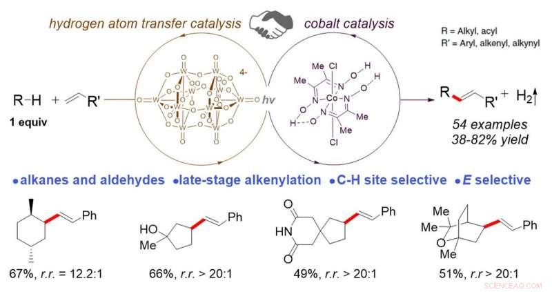 Revolutionary Light‑Driven C‑H Alkenylation: Efficient Late‑Stage Functionalization via Hydrogen‑Atom Transfer and Cobalt Catalysis