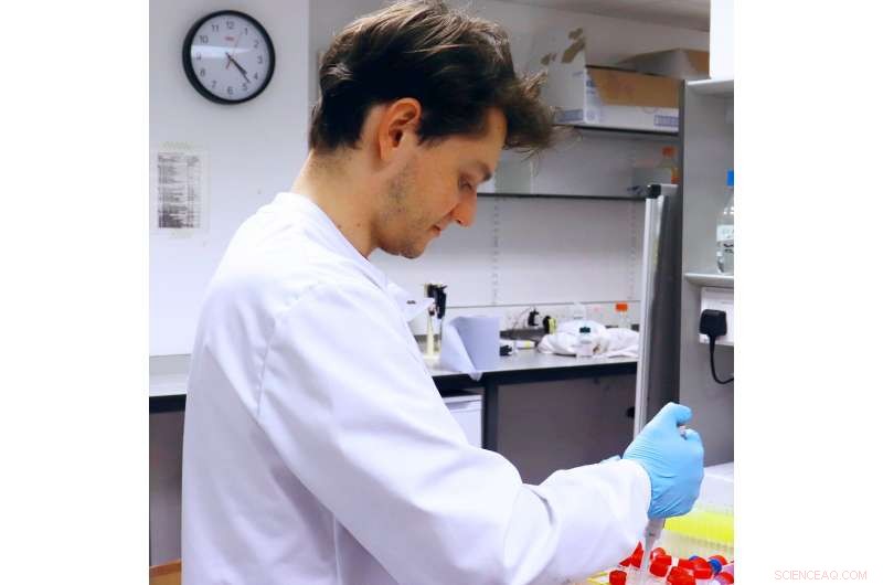 Bacteria-Driven Sustainable Nylon Production: A Breakthrough