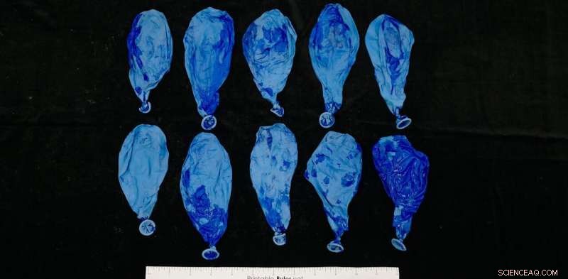 Biodegradable Balloons Survive 16 Weeks in Compost—Our Findings