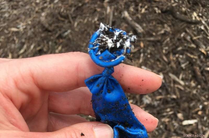 Biodegradable Balloons Survive 16 Weeks in Compost—Our Findings