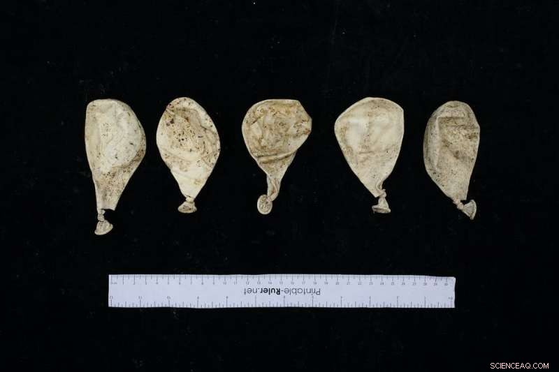 Biodegradable Balloons Survive 16 Weeks in Compost—Our Findings