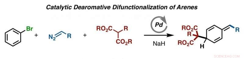 Revolutionary Method Accelerates Production of Key Pharmaceutical Building Blocks