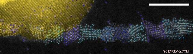 Exploring Uranium: Beyond Nuclear Power – Diverse Uses and Implications