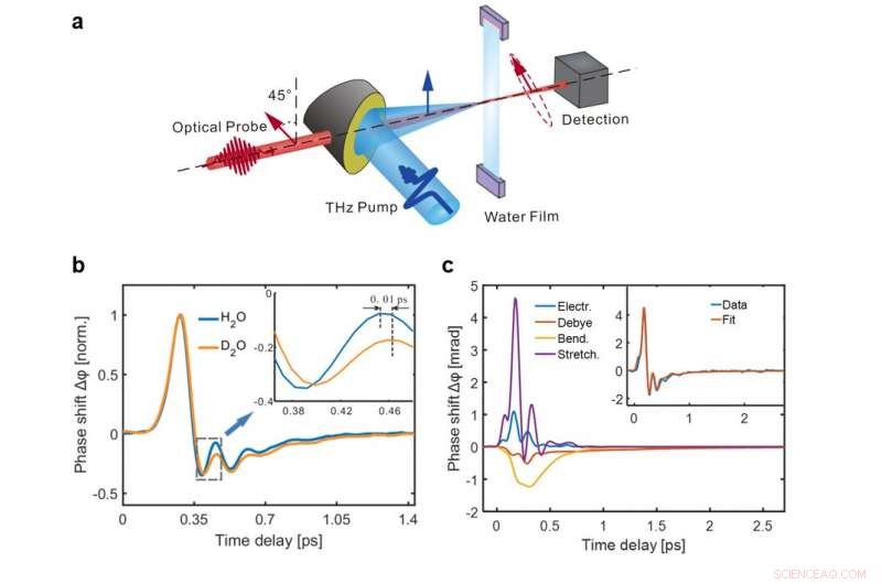 Probing Ultrafast Hydrogen-Bond Dynamics in Liquid Water via THz-Induced Kerr Effect