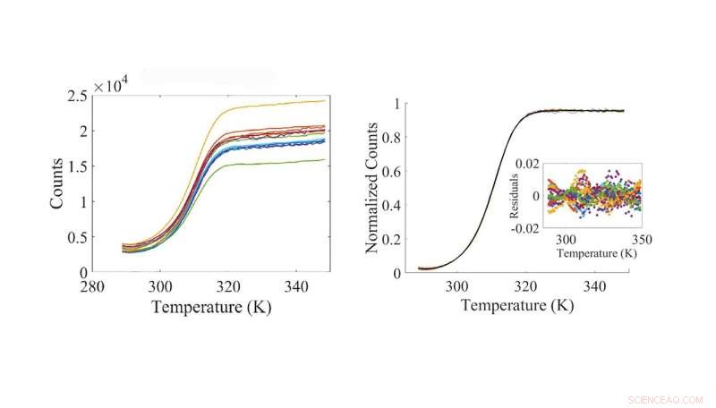 Improving DNA Melt Curve Accuracy for Precise Biomedical Diagnostics