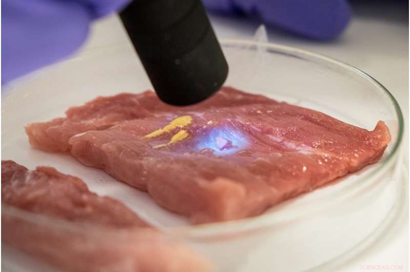 NTU Scientists Create Biorubber Surgical Glue to Speed Recovery and Reduce Pain