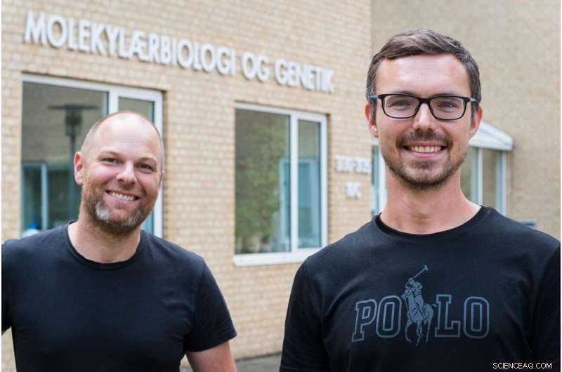 Reevaluating the Michaelis-Menten Equation: New Insights into Enzyme Behavior