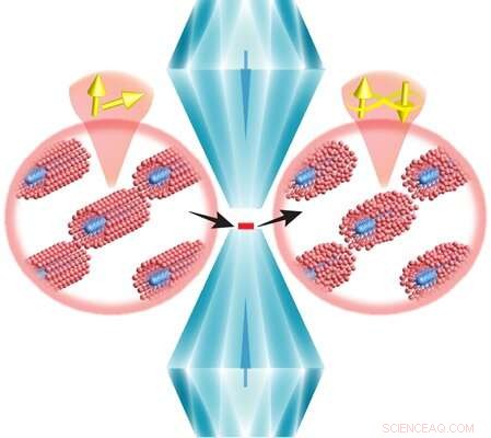 New Superconductor Reveals Surprising Lattice Structure, Boosting Quantum Research