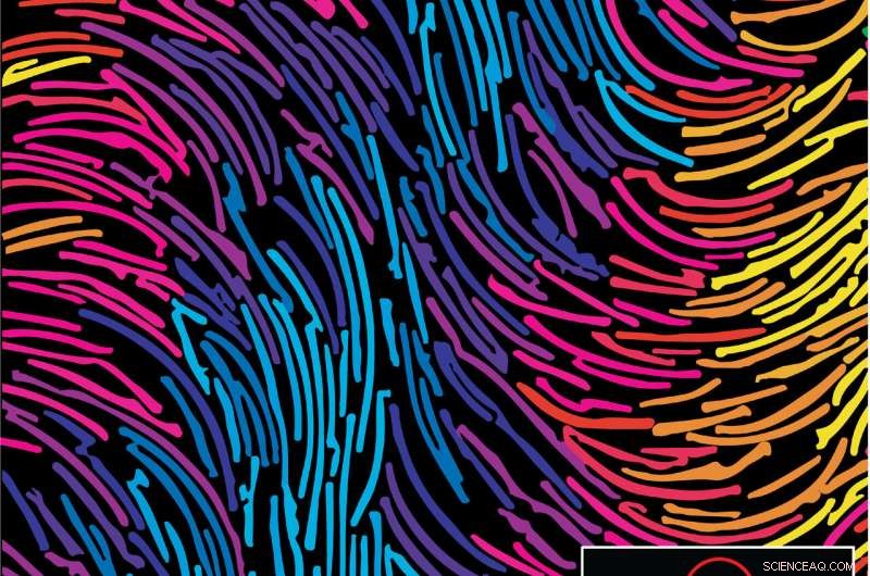 Controlling Bent Molecule Curvature with Polymer and UV Light