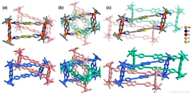 Unified Approach to Synthesizing Metalla[3]Catenanes, Borromean Rings, and Ring‑in‑Ring Complexes