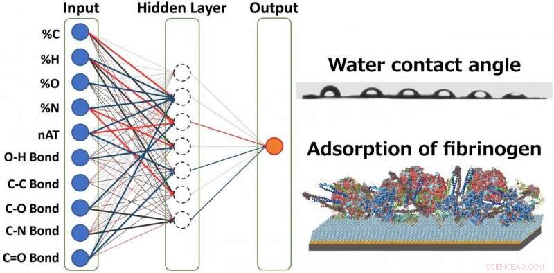 AI Accelerates Biomaterials Design: Predicting Hydrophobicity with Neural Networks