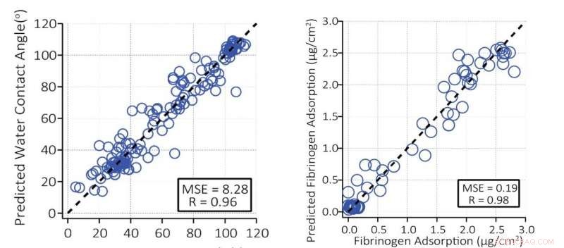 AI Accelerates Biomaterials Design: Predicting Hydrophobicity with Neural Networks