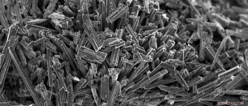 TUM Study Reveals Hydrochloric Acid Significantly Enhances Catalyst Activity