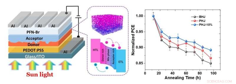 Molecular Dispersion Boosts Efficiency of Quasi-Bilayer Organic Solar Cells
