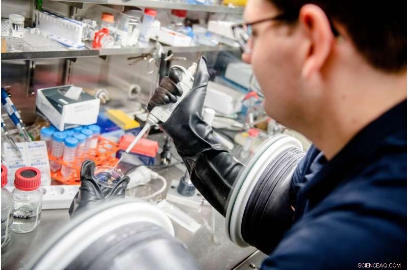 Engineering Enzymes for Robust Industrial Use