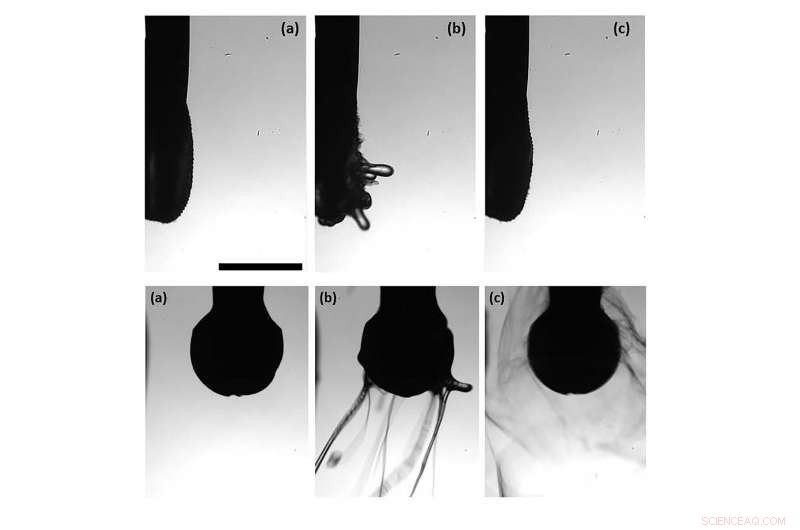 Polymer-Based Irrigation Minimizes Aerosol Risk During Dental Procedures