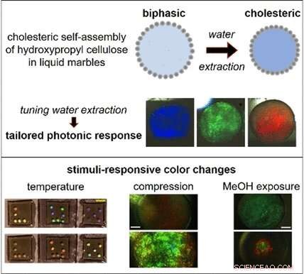 Engineered Self‑Assembly of Responsive Photonic Biobased Materials in Liquid Marbles