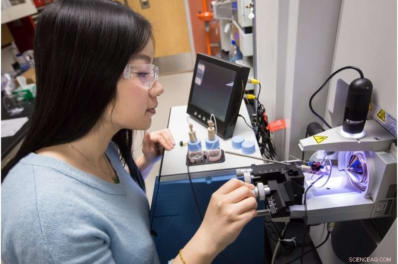 Sulfur‑Scavenging Bacteria: A Breakthrough for Sustainable Plastic Production