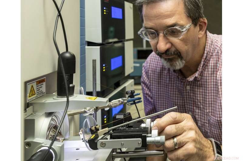 Sulfur‑Scavenging Bacteria: A Breakthrough for Sustainable Plastic Production