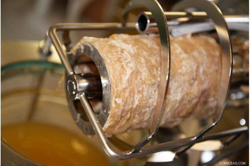 Synergistic Microbial Consortia Expand Biomass Conversion Potential