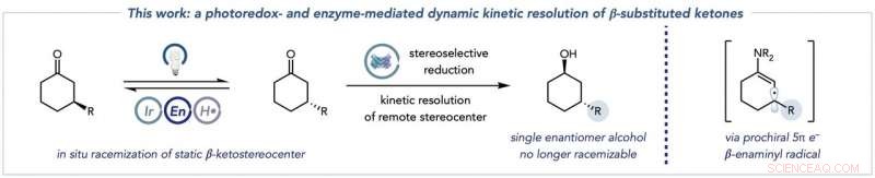 Scientists Unveil Innovative Platform for Precise Stereocontrol in Chemical Synthesis