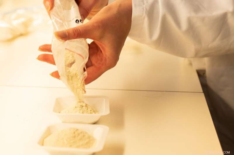 Turning Fish Waste into Valuable Industrial Inputs