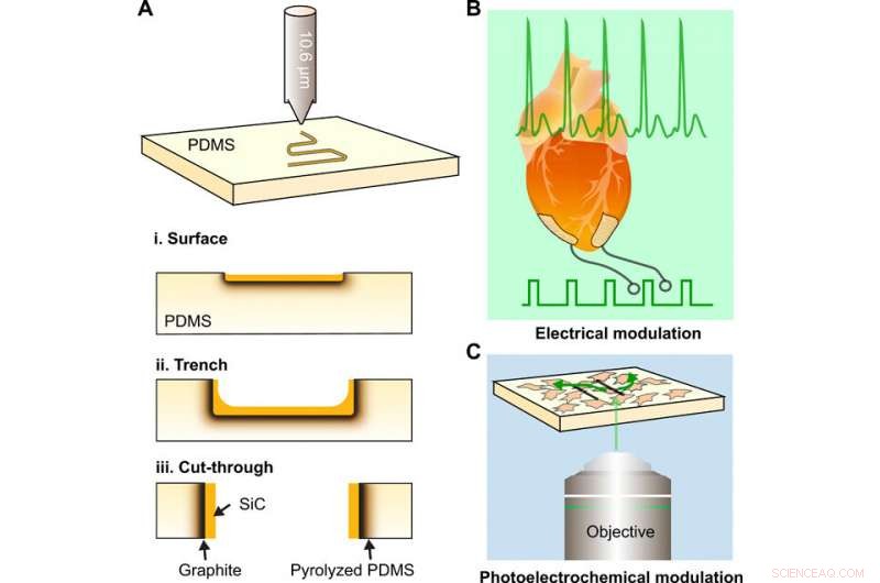 Precision Laser Patterning of N‑Doped Silicon Carbide for Advanced Biological Modulation