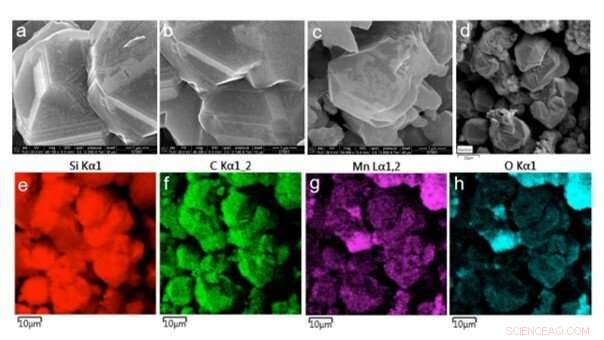 Precision Laser Patterning of N‑Doped Silicon Carbide for Advanced Biological Modulation