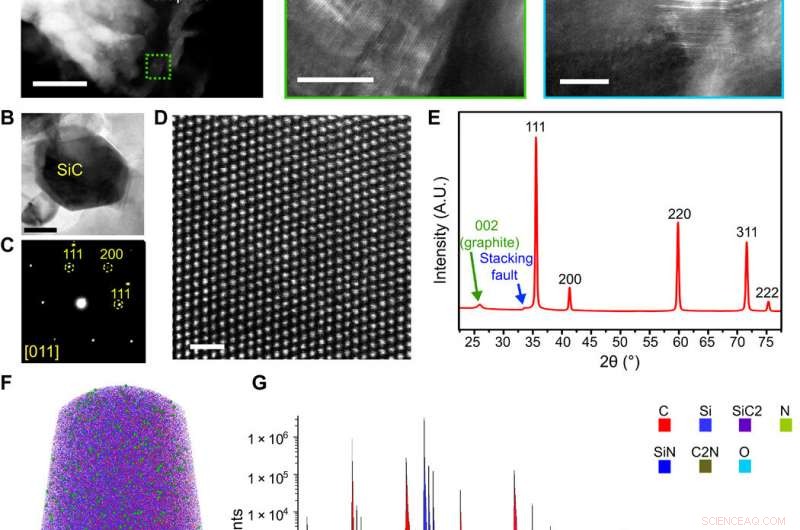 Precision Laser Patterning of N‑Doped Silicon Carbide for Advanced Biological Modulation