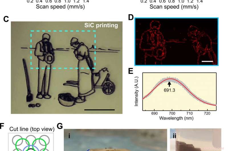 Precision Laser Patterning of N‑Doped Silicon Carbide for Advanced Biological Modulation